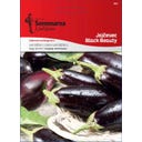 Semenarna Ljubljana Auberginensamen 