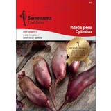 Semenarna Ljubljana Rote-R&uuml;ben-Samen "Cylindra"