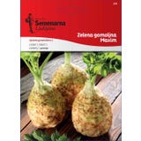 Semenarna Ljubljana Knollenselleriesamen "Maxim"