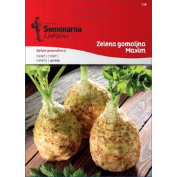 Semenarna Ljubljana Knollenselleriesamen 