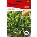 Semenarna Ljubljana Roszpunka 