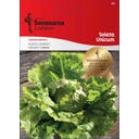 Semenarna Ljubljana Kopfsalatsamen 