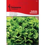 Semenarna Ljubljana Endive Seeds &lsquo;Eminence&rsquo;
