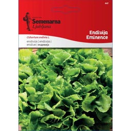 Semenarna Ljubljana Endiviensamen 