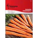 Semenarna Ljubljana Korenček 