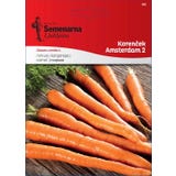Semenarna Ljubljana Karottensamen "Amsterdam 2"