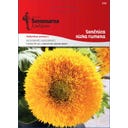 Semenarna Ljubljana Sonnenblumensamen (niedrig, gelb) - 4 g