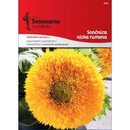 Semenarna Ljubljana Sonnenblumensamen (niedrig, gelb) - 4 g