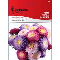 Semenarna Ljubljana Astersamen 