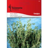 Semenarna Ljubljana Timijan