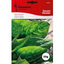 Semenarna Ljubljana Szpinka 