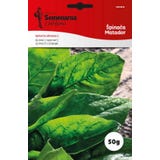 Semenarna Ljubljana Spinatsamen "Matador"