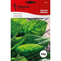 Semenarna Ljubljana Szpinka 