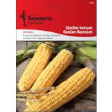 Semenarna Ljubljana Sladka koruza "Golden Bantam"