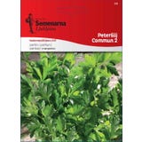 Semenarna Ljubljana Persiljefr&ouml;n "Commun 2" (sl&auml;t)