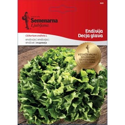 Semenarna Ljubljana Endiviensamen 