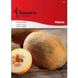 Semenarna Ljubljana Melonensamen