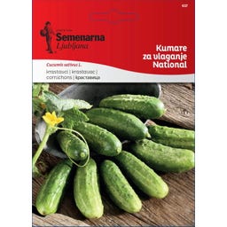 Semenarna Ljubljana Einlegegurkensamen 
