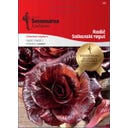 Semenarna Ljubljana Radicchiosamen 