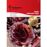 Semenarna Ljubljana Radicchiosamen "Solkanski Regut"