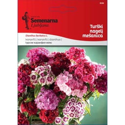Semenarna Ljubljana Türkische-Nelken-Samen – Mischung - 1 g