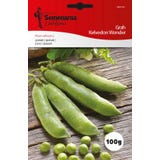 Semenarna Ljubljana Pisello - Kelvedon Wonder