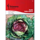 Semenarna Ljubljana Radicchiosamen 