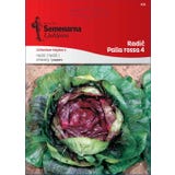 Semenarna Ljubljana Radicchio - Palla Rossa 4