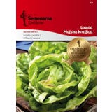 Huvudsallatfr&ouml;n "Majska Kraljica" (Maik&ouml;nig)