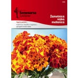 Semenarna Ljubljana Tagete Basso - Miscela