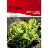 Semenarna Ljubljana Schnittsalatsamen (Pfl&uuml;cksalat)