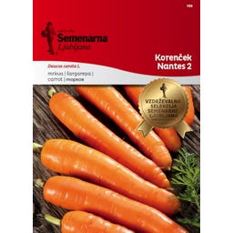 Semenarna Ljubljana Karottensamen 