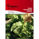 Semenarna Ljubljana Eissalatsamen 