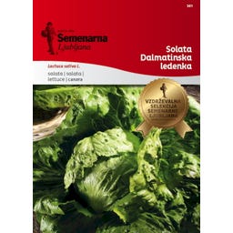 Semenarna Ljubljana Eissalatsamen 