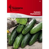 Semenarna Ljubljana Salatgurkensamen "Marketmore"
