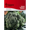 Semenarna Ljubljana Brokkolisamen 