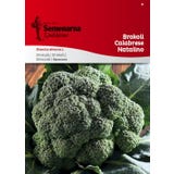 Semenarna Ljubljana Brokoli "Calabrese Natalino"