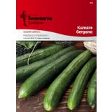 Semenarna Ljubljana Gurkensamen "Gergana"