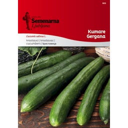 Semenarna Ljubljana Gurkensamen 