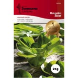 Semenarna Ljubljana Lamb's Lettuce Seeds "Žličar"