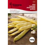 Fagiolino - Capitano (basso, giallo, piatto)