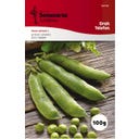 Semenarna Ljubljana Grah 