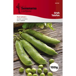 Semenarna Ljubljana Erbsensamen 