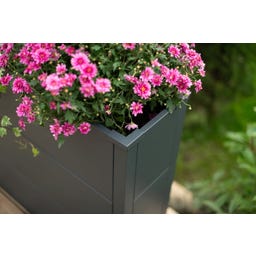 Westmann Pflanzkasten Talus - Anthrazit - XL