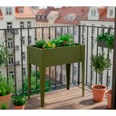 Westmann Hochbeet Verdura - Olive - S