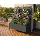 Westmann Pflanzkasten mit Rankgitter Dekora 5 - 40 x 90 x 120 cm