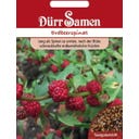 Dürr Samen Espinaca fresa - 100 semillas