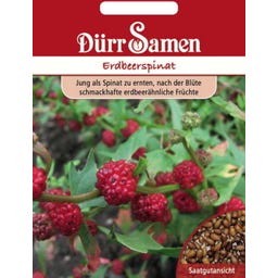 Erdbeerspinatsamen - 100 Korn