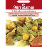 D&uuml;rr Samen Alchechengi / Ciliegia Ananas