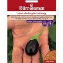 Dürr Samen Mini-Aubergine 